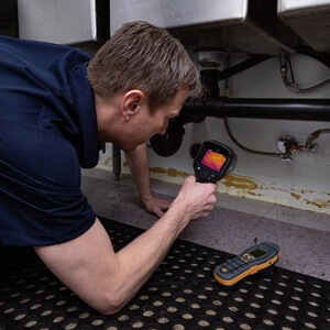 Mold Removal Inspection